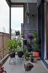 The Criterion (D27), Condominium #558246981